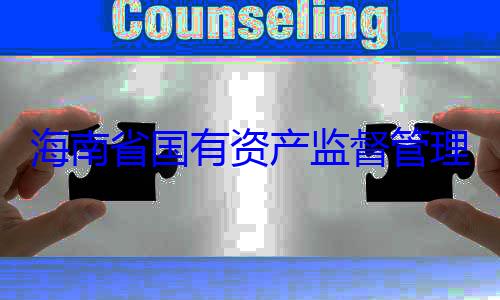 理委员会党委副书记王资产监督管海南省国有查调查有福接受审